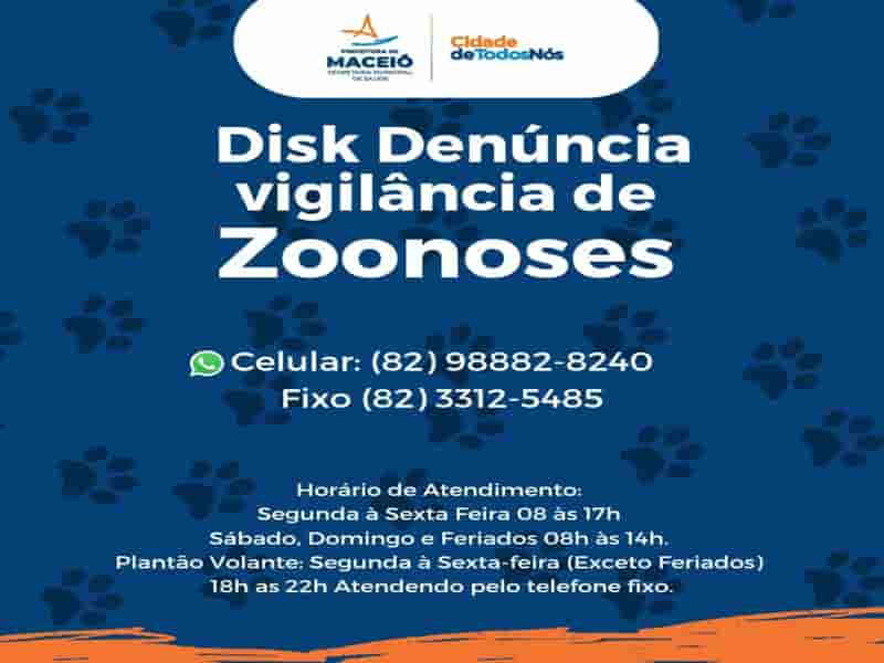 disk