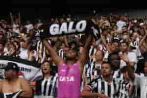 galo