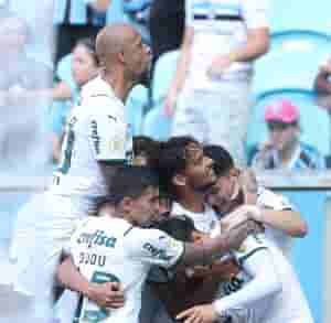 palmeiras