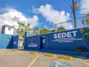 sedt
