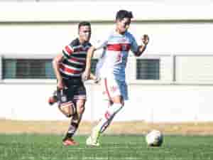 galo20