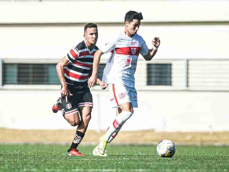 galo20
