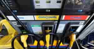 gasolina