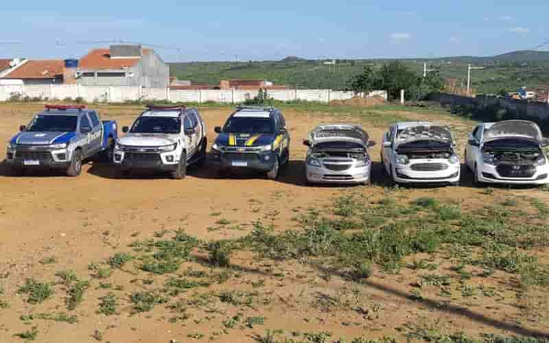 operaçãosertão