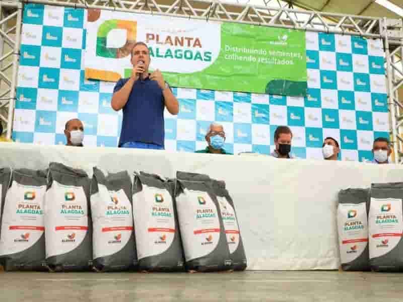 planta