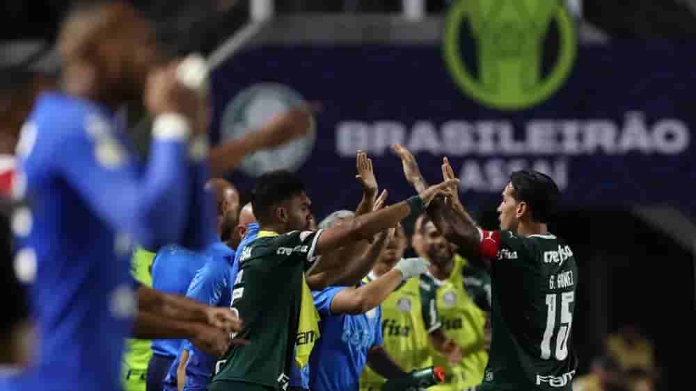 palmeiras
