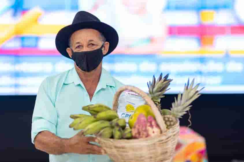 alimentos