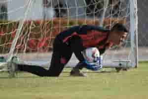 goleirogalo