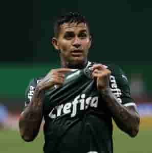 dudu