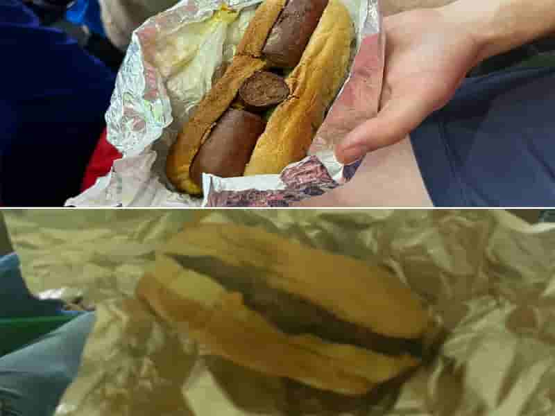 hotdogcatar