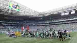 palmeiras1