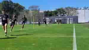 timaotreino