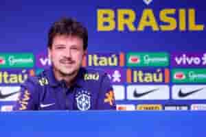 diniz