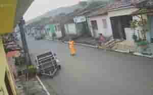 maribondo