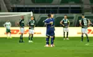 palmeiras