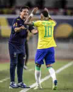 diniz