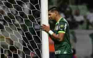 palmeiras