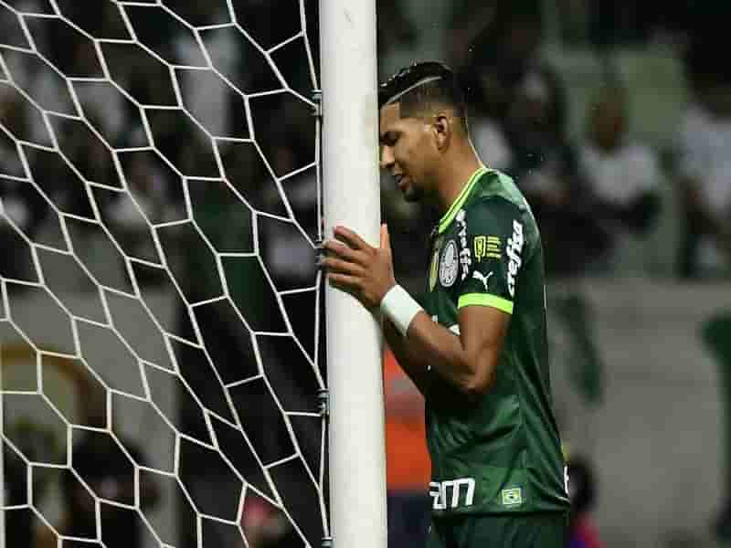 palmeiras