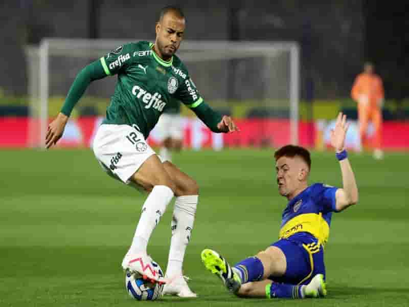 palmeiras