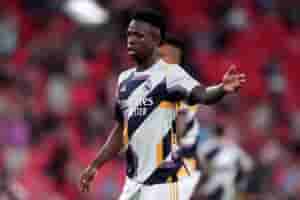 vini