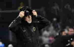 timao