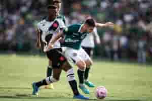 vasco