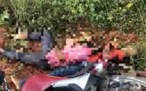 triplo