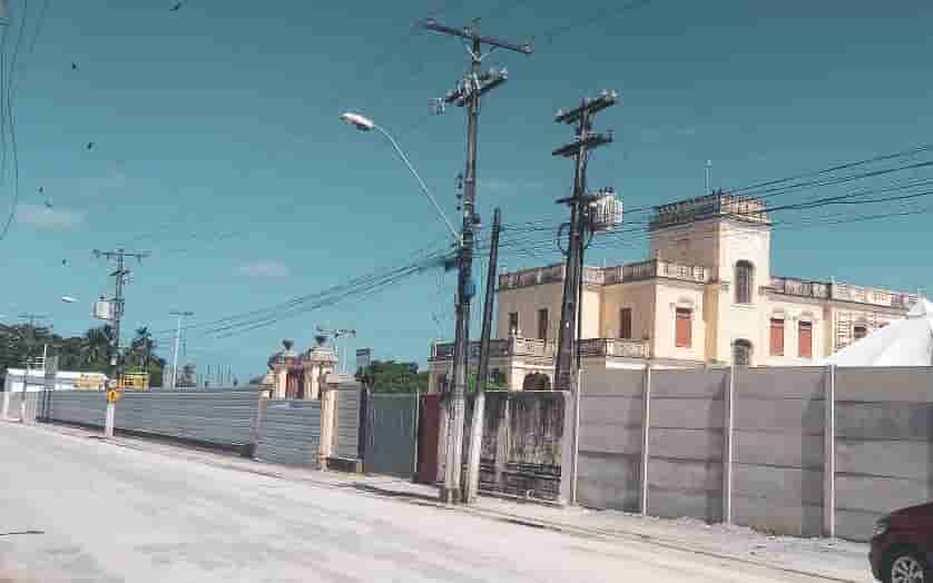 pinheiro