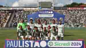 palmeiras