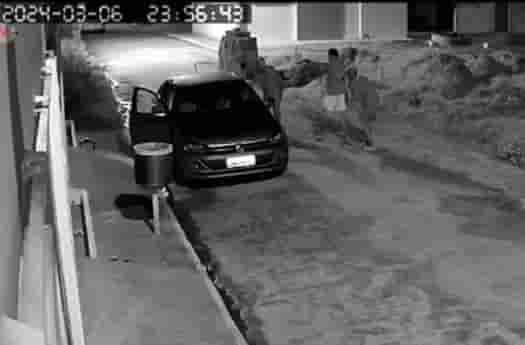 baleado