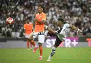 vasco