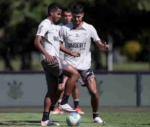 timao