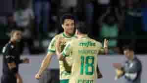 palmeiras