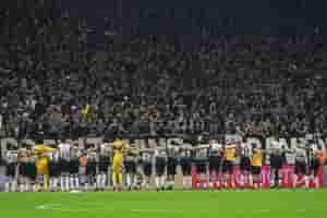timao