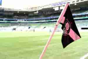 palmeiras