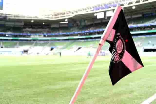 palmeiras
