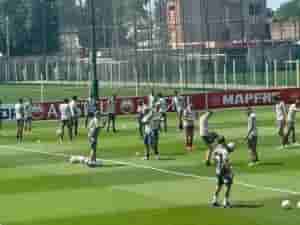 galo