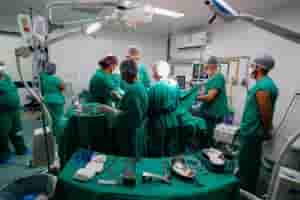 transplante
