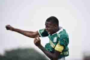 palmeiras