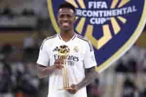 vini