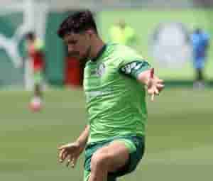 palmeiras