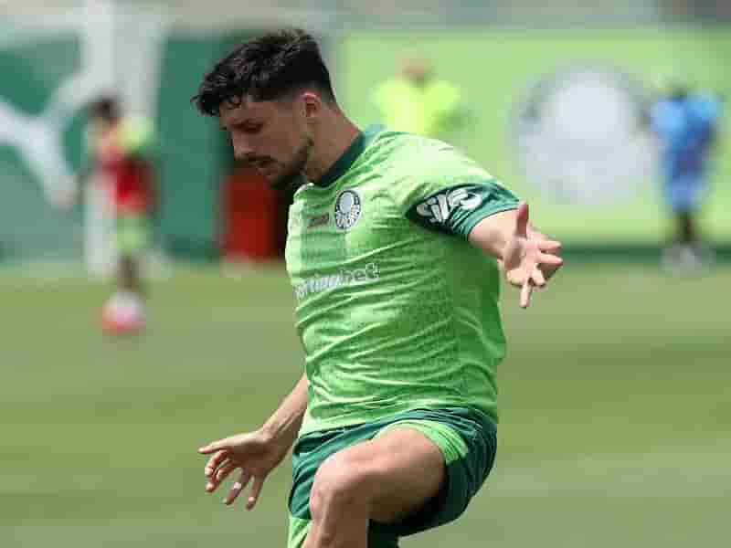 palmeiras