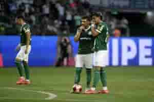 palmeiras