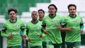palmeiras2