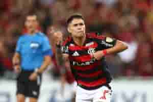 luizaraujo