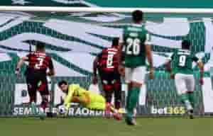 palmeiras3