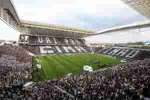 timao