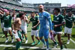 palmeiras