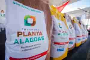 plantaal