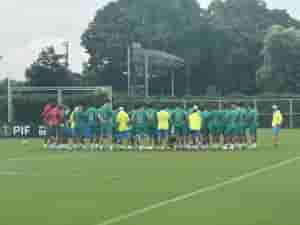 palmeiras